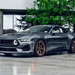 2022 Ford Mustang - Boss 302 Coupe 2D
