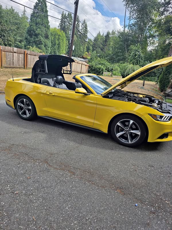 2016 Ford Mustang - Convertible 2D