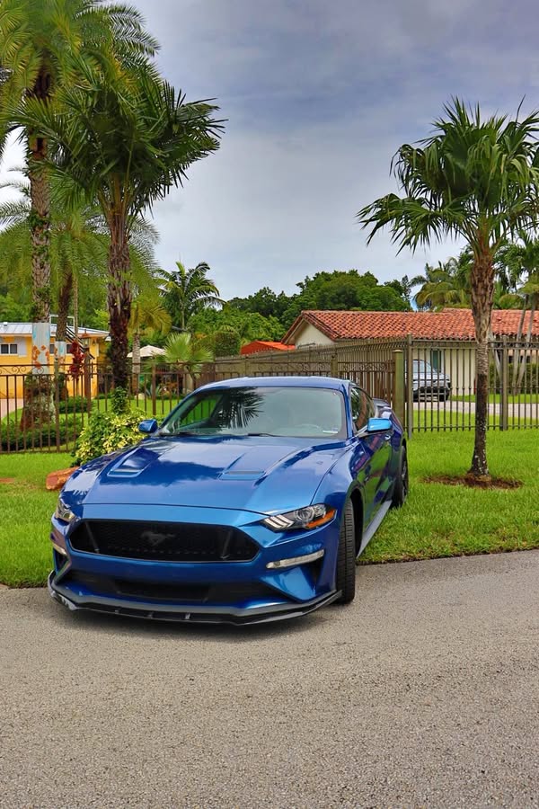 2018 Ford Mustang - Shelby GT500 Coupe 2D