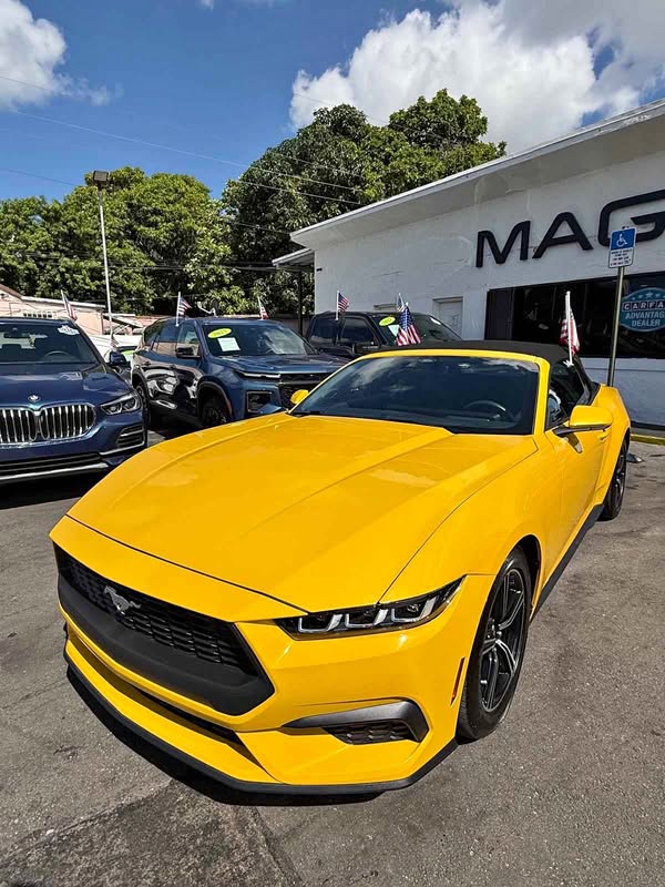 2024 Ford Mustang - EcoBoost Convertible 2D
