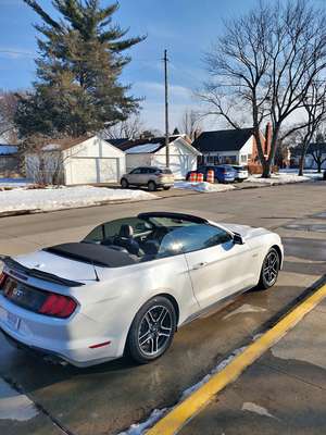2020 Ford Mustang - GT 50 Years Limited Edition Coupe 2D