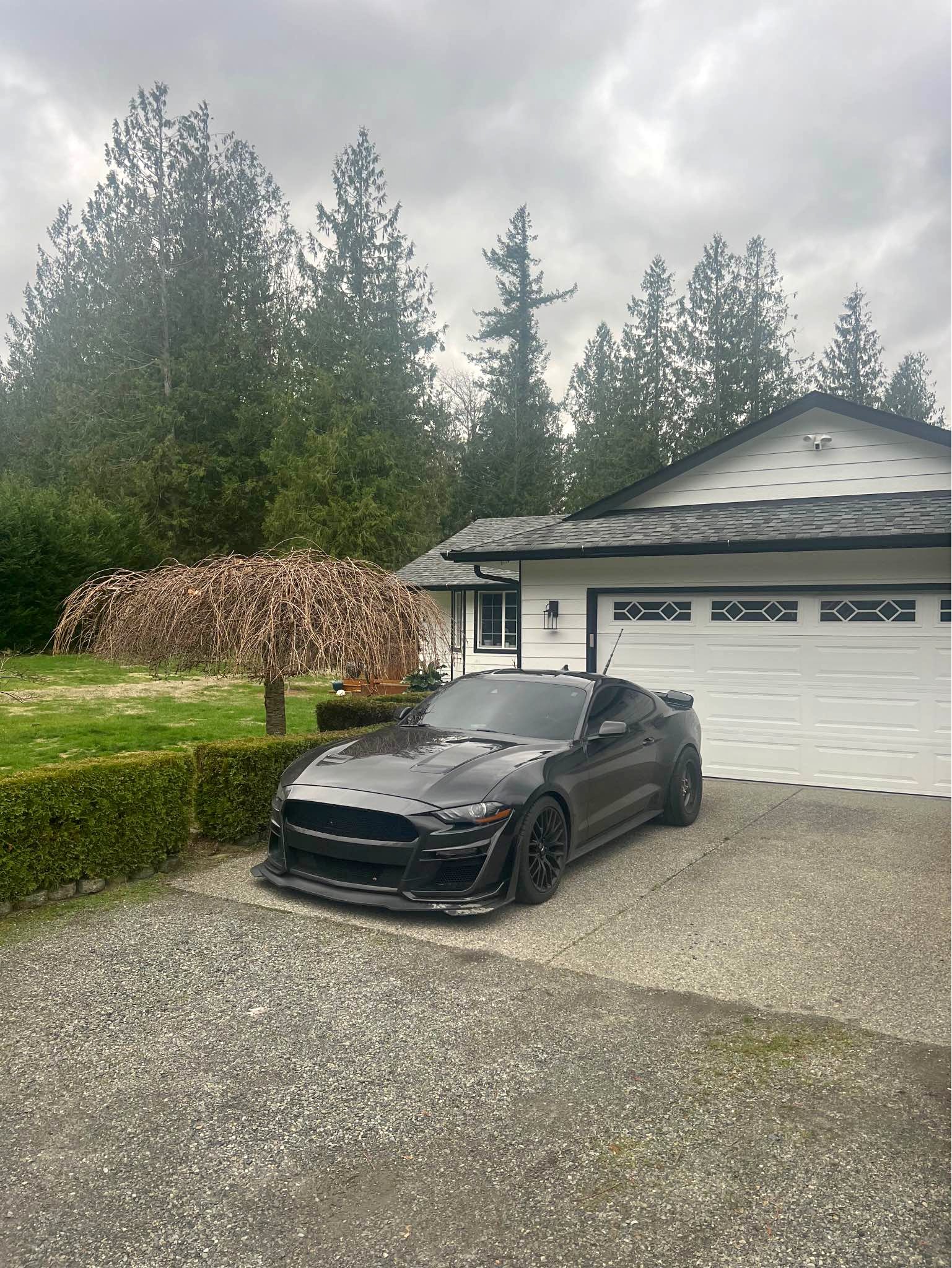 2022 Ford Mustang - EcoBoost Premium Coupe 2D