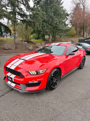 2017 Ford Mustang - Shelby GT350 Coupe 2D
