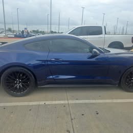 2019 Ford Mustang GT
