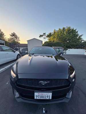 2015 Ford Mustang - EcoBoost Coupe 2D
