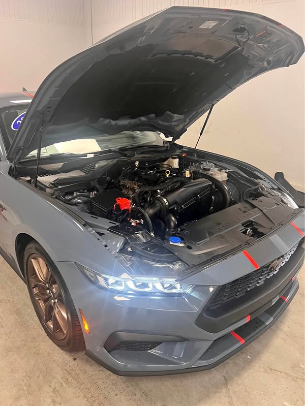 2024 Ford Mustang - Coupe 2D