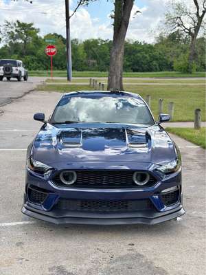 2019 Ford Mustang - EcoBoost Coupe 2D