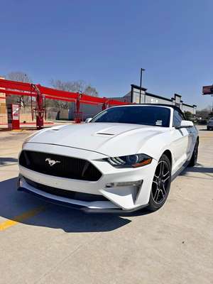 2019 Ford Mustang