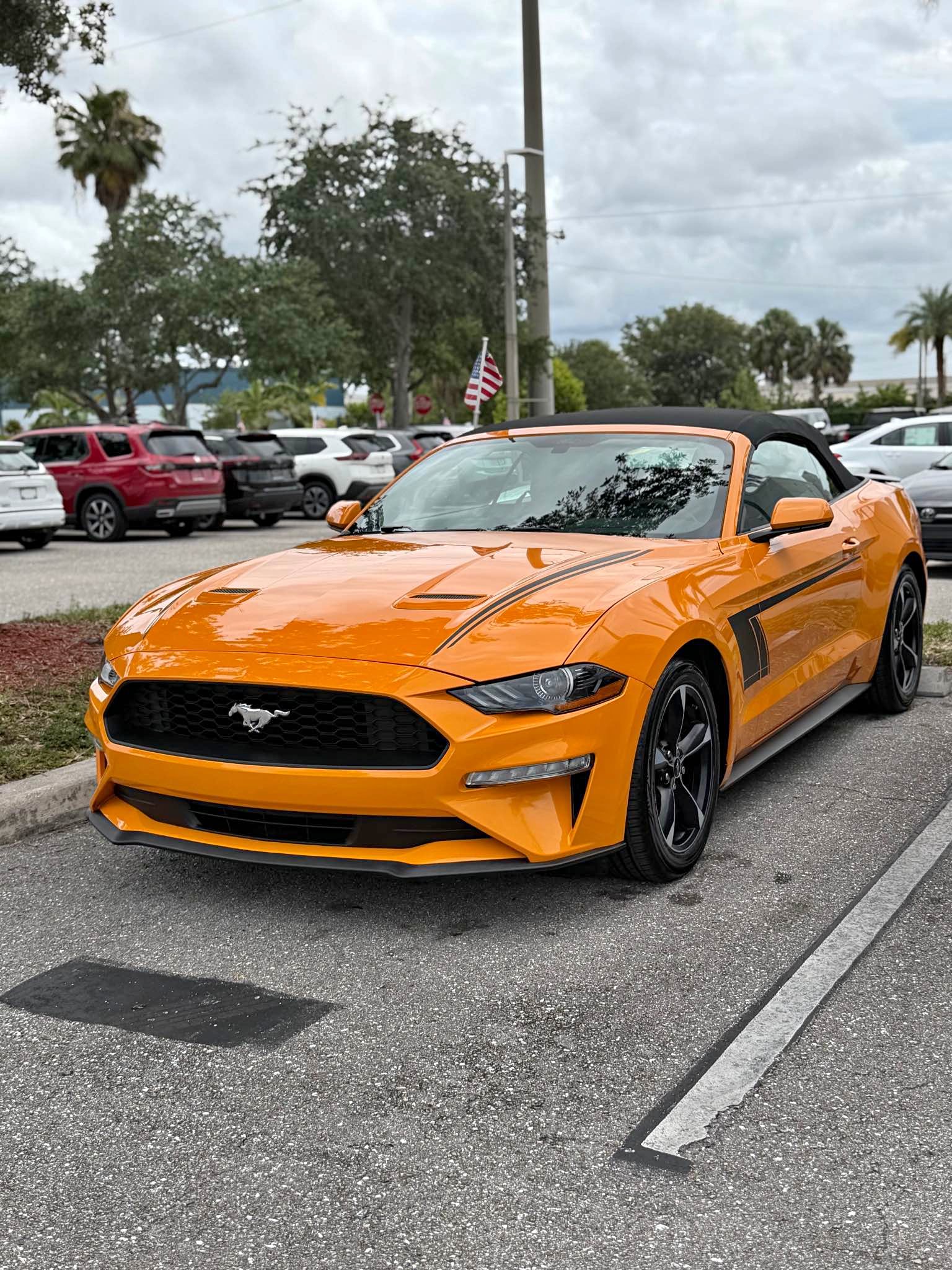 2019 Ford Mustang - EcoBoost Convertible 2D