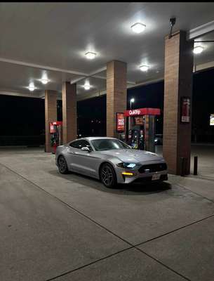2021 Ford Mustang - EcoBoost Premium Coupe 2D
