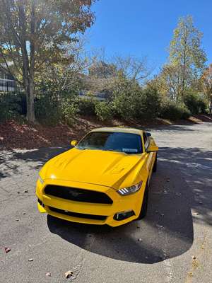 2017 Ford Mustang - GT Coupe 2D