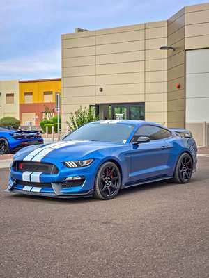 2019 Ford Mustang - Shelby GT350R Coupe 2D
