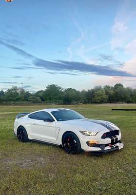 2017 Ford Mustang - Shelby GT350R Coupe 2D