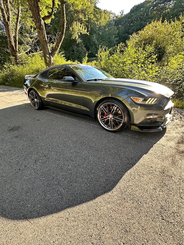 2015 Ford Mustang - EcoBoost Premium Coupe 2D