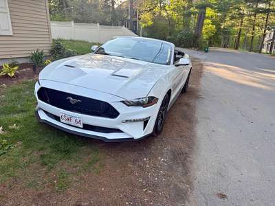 2019 Ford Mustang - GT Convertible 2D