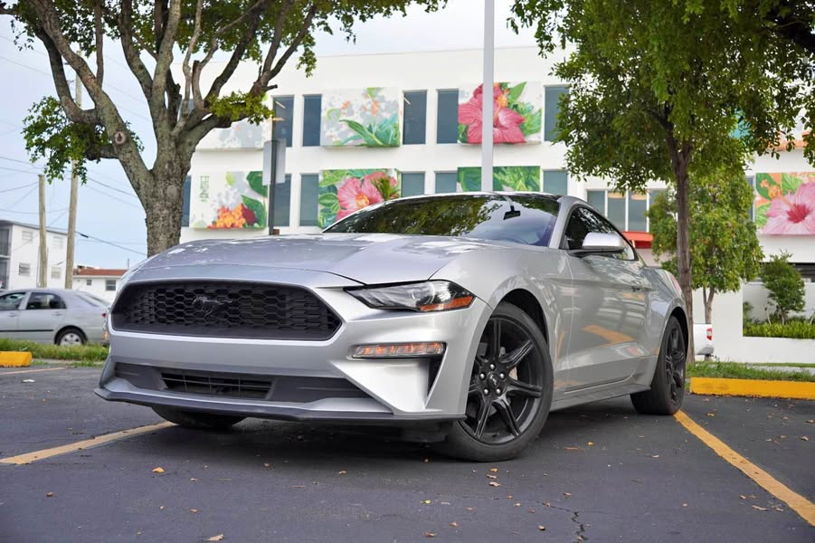 2019 Ford Mustang - EcoBoost Coupe 2D