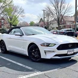 2019 Ford Mustang EcoBoost Premium \ud83e\udd18 81337 Miles