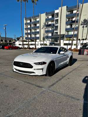 2019 Ford Mustang - EcoBoost Premium