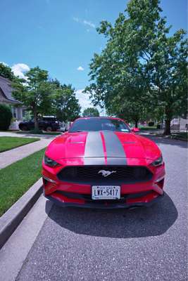 2019 Ford Mustang