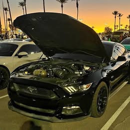 2015 Ford Mustang - GT Premium Coupe 2D