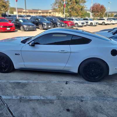 2019 Ford Mustang - GT
