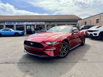 2019 Ford Mustang Base