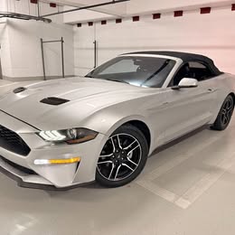 2019 Ford mustang premium