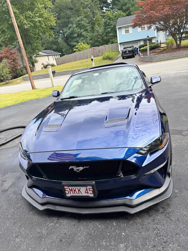 2019 Ford Mustang - GT Premium Convertible 2D