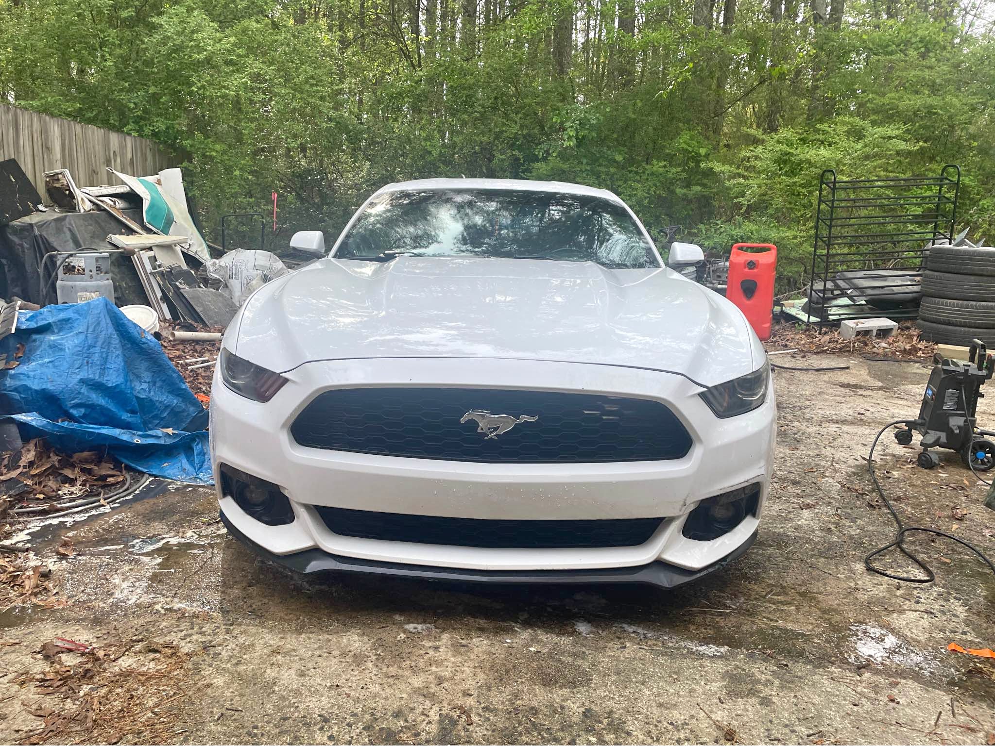 2016 Ford Mustang - EcoBoost Coupe 2D