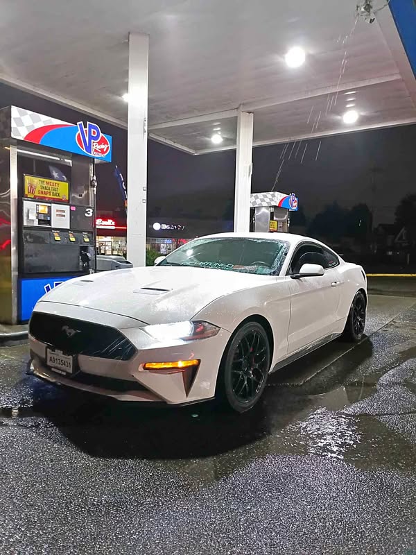 2020 Ford Mustang - EcoBoost Coupe 2D