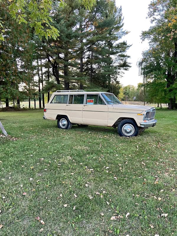 1979 Jeep Wagoneer - Amc