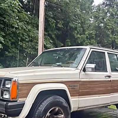 1987 Jeep Grand Wagoneer - Sport Utility 4D