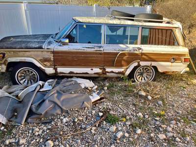 1980 Jeep Wagoneer