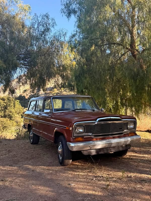 1982 Jeep Wagoneer - Burghman