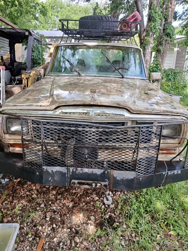 1980 Jeep Grand Wagoneer