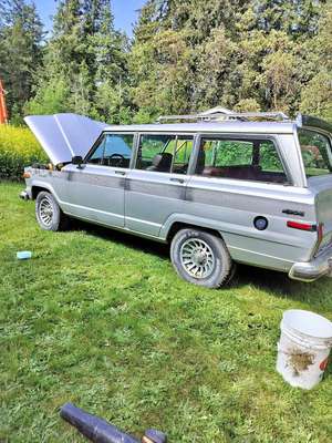 1979 Jeep Grand Wagoneer