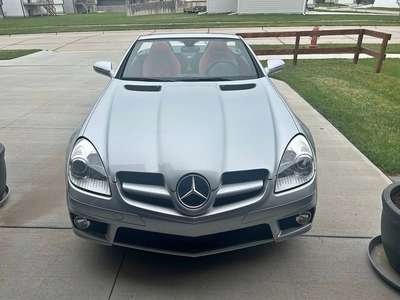 2010 Mercedes-Benz SLK-Class SLK 300 Roadster 2D
