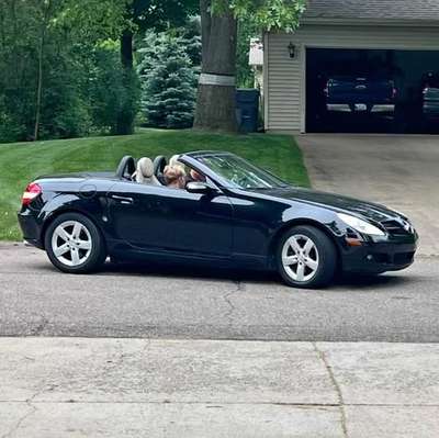 2006 Mercedes-Benz SLK-Class - SLK 280 Roadster 2D