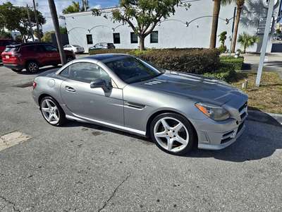 2013 Mercedes-Benz SLK-Class - SLK 250 Roadster 2D