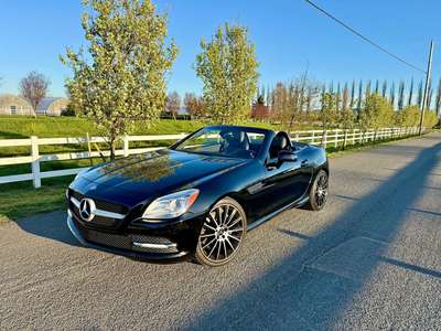 2013 Mercedes-Benz SLK-Class - SLK 350 Roadster 2D