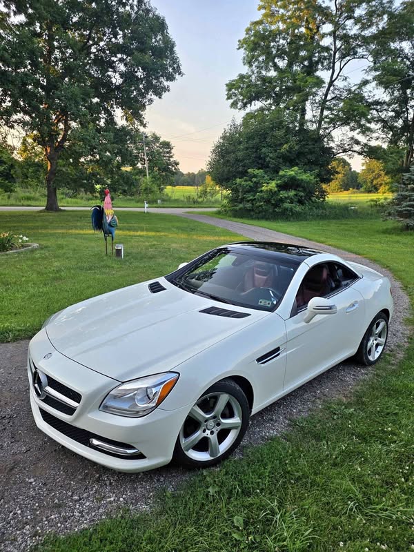 2012 Mercedes-Benz SLK-Class - SLK 230 Roadster 2D