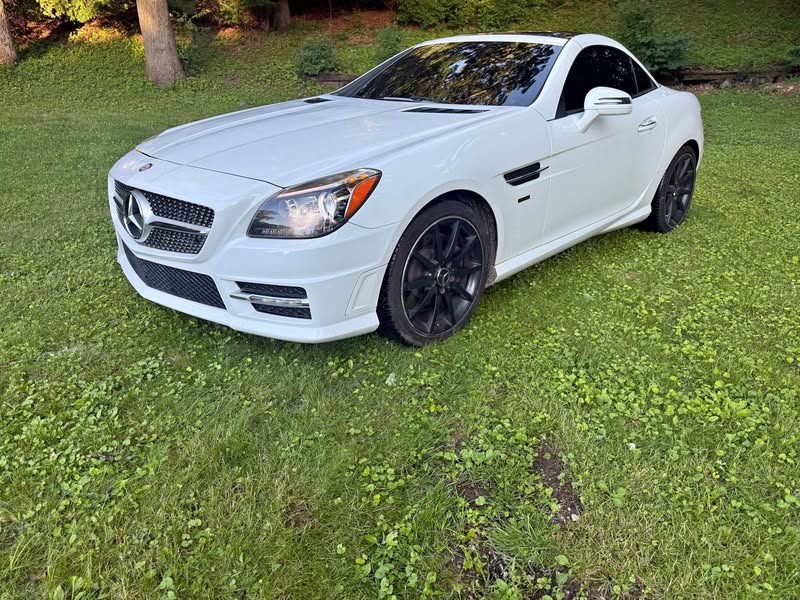 2014 Mercedes-Benz SLK-Class - SLK 250 Roadster 2D