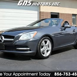 2015 Mercedes-Benz SLK-Class SLK 250 Roadster 2D