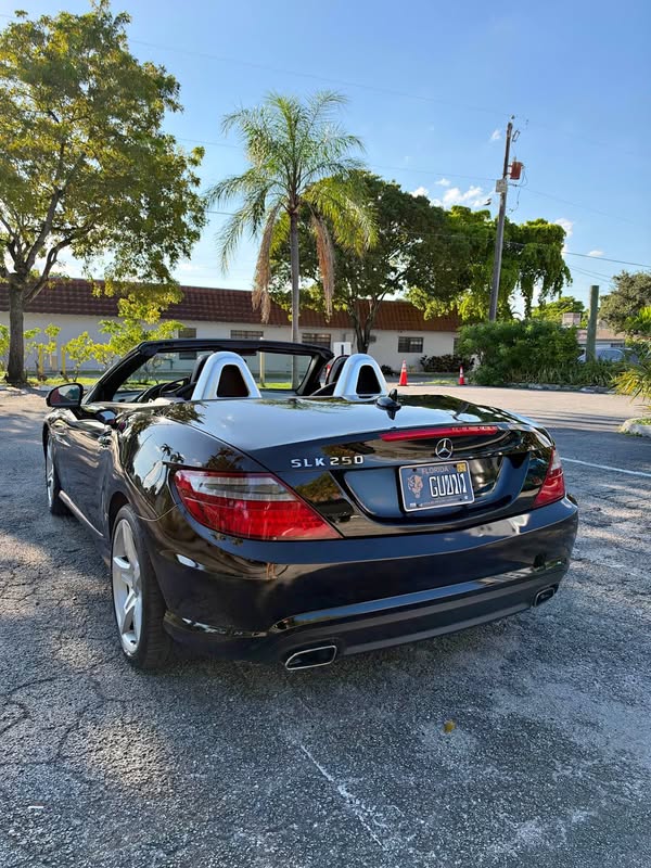 2014 Mercedes-Benz SLK-Class - Slk250 Convertible