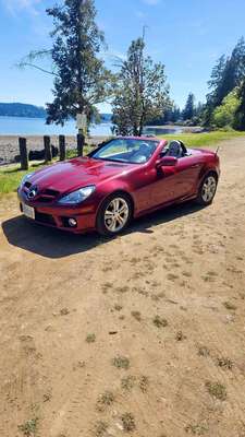2011 Mercedes-Benz SLK-Class - SLK 300 Roadster 2D