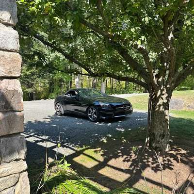 2014 Mercedes-Benz SLK-Class - SLK 55 AMG Roadster 2D