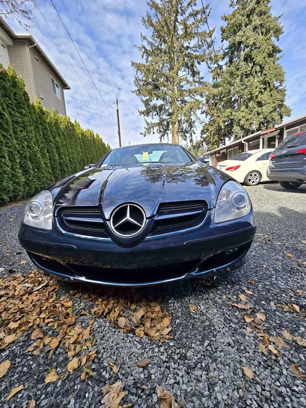 2006 Mercedes-Benz SLK-Class - SLK 350 Edition Roadster 2D