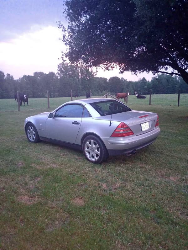 1999 Mercedes-Benz SLK-Class