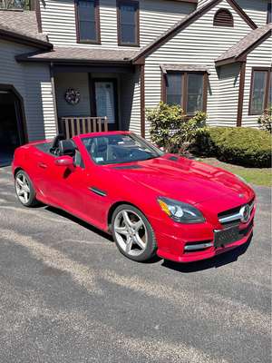 2014 Mercedes-Benz SLK-Class - SLK 250 Roadster 2D