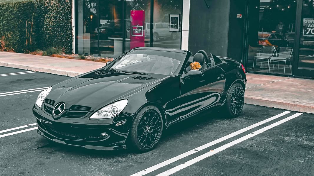 2007 Mercedes-Benz SLK-Class - SLK 280 Edition Roadster 2D